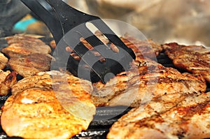 Marinated and Grilled chicken breast