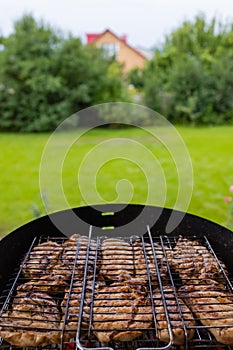 Marinated grilled chicken on the flaming grill.