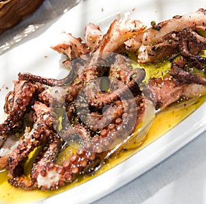 Marinated grilled octopus taverna greek islands photo