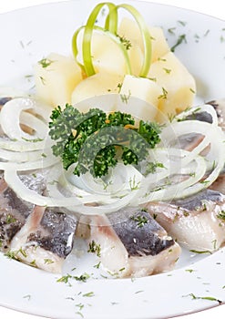 Marinated herring fillets