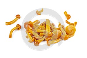 Marinated honey agarics isolated on a white