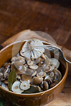 Marinated honey fungus in brown bowl on wooden table.