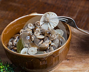 Marinated honey fungus in brown bowl on wooden table.