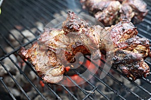 Marinated lamb on hot grill