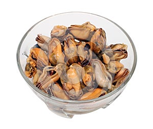 Marinated mussel isolated