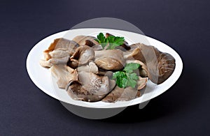 Marinated Oyster Mushrooms with parsley leaf on a plate isolated