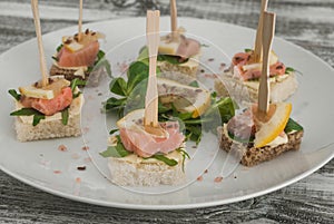 Marinated Salmon Toasts or Canape on White Plate With Butter Cream and Arugula leaves.