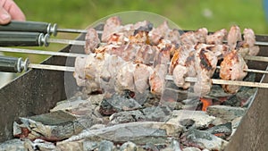 Marinated shashlik preparing on a barbecue grill over charcoal. Picnic in Europe