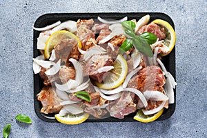 Marinated shish kebab with onion and lemon. Pork meat with spices on a tray