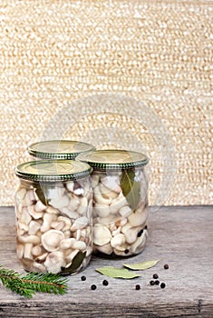 Marinated Suillus mushrooms in glass jars