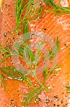 Marinated Trout with Dill