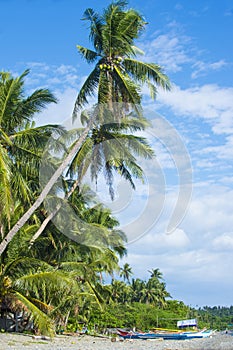 Marindique island , The Philippines