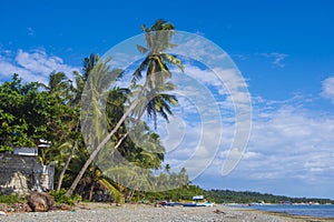 Marindique island , The Philippines