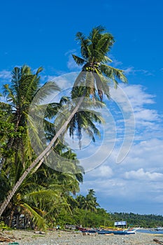 Marindique island , The Philippines