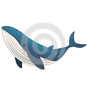 Marine animal collection clipart