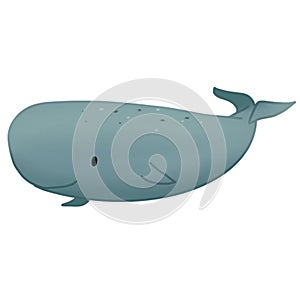 Marine animal collection clipart