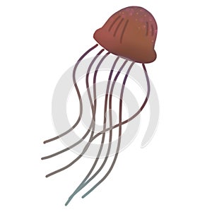 Marine animal collection clipart