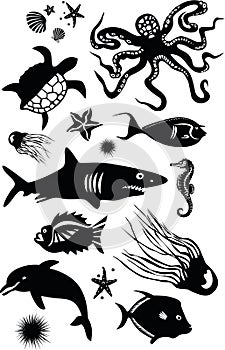 Marine Animals