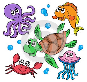 Marine animals collection