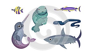 Marine Animals with Narwal and Seal Vector Set