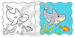 Marine background. Coloring book or Coloring page for kids. Shark vector clipart