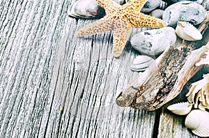 Marine background with pebbles and starfish