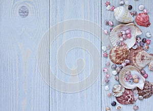 Marine background with seashells on wooden planks. Border of seashells.