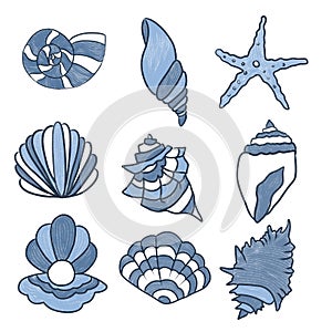 Marine: blue shells on a white background