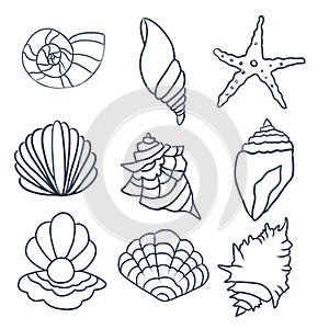 Marine: blue shells on a white background