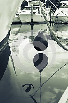 Marine bouy hanging above water between moored boats in Tutukaka marina, Northland New Zealand.