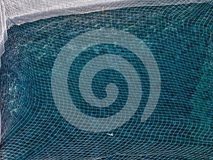 marine cages for the controlled breeding and production of fish covered with bird netting