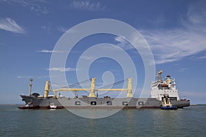 Marine cargo