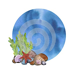 Marine composition, frame, template on a white background. Sea stones, algae, starfish, shells with watercolor