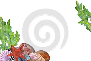 Marine composition, frame, template on a white background. Sea stones, algae, starfish, shells. Watercolor illustration