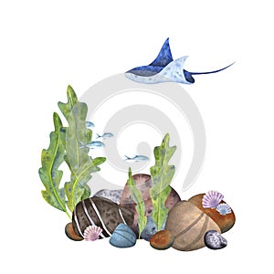 Marine composition, frame, template on a white background. Sea stones, algae, stingray, fish, shells. Watercolor