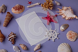 Marine composition with paper card mock-up