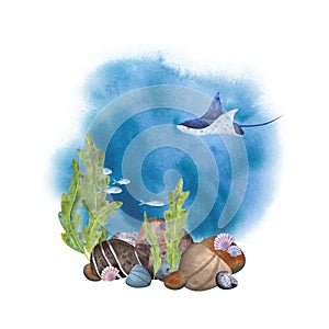 Marine composition on a white background. Sea stones, algae, stingray, fish, shells with watercolor background