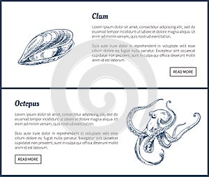 Marine Creatures and Octopus Landing Page