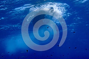 Marine engine propeller underwater while diving