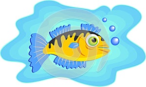 Marine fish swimming