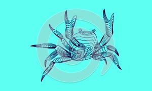 Marine graphic  animal. Vector illustration. The crab consist of lines.