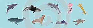 Marine Habitant with Ray, Whale, Turtle, Shark, Jellyfish and Fur Seal Vector Set