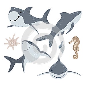 Marine illustrations set. Collection of Swimming sharks and isolated objects on white background. Vector