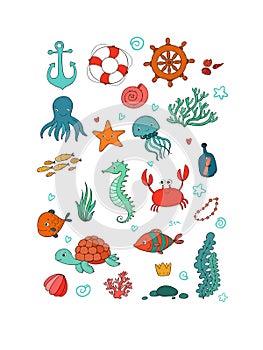 Marine illustrations set. Little cute cartoon funny fish, starfish, bottle with a note, algae, various shells and crab