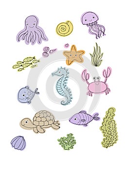 Marine illustrations set. Little cute cartoon funny fish, starfish, bottle with a note, algae, various shells and crab