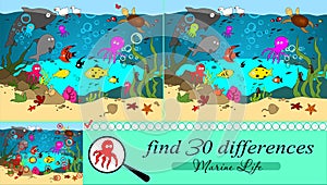 Marine inhabitants. Find 30 differences