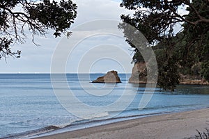 Marine landscape with sand, sea and rocky outcrop on background, Waihi, Waikato region, New Zealand