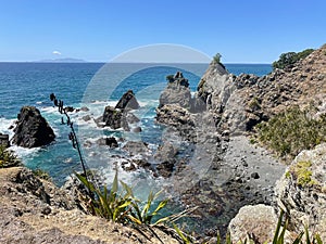 Marine Landscape. The view of rocky coastline at Tawharanui Regional Park in a sunny day, New Zealand