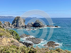 Marine Landscape. The view of rocky coastline at Tawharanui Regional Park in a sunny day, New Zealand