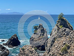 Marine Landscape. The view of rocky coastline at Tawharanui Regional Park in a sunny day, New Zealand